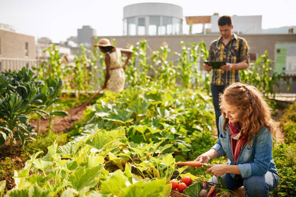 Benefits of Community Gardens: Improving Health and Building Community